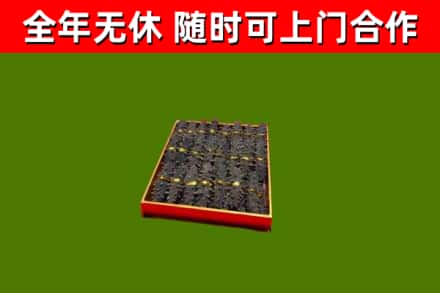 固阳回收海参